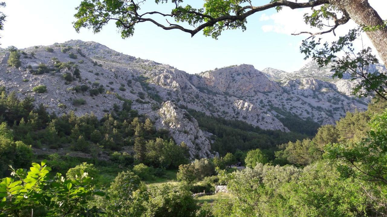 Holiday Home Paklenica Starigrad Paklenica Exterior foto